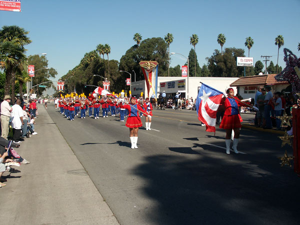 Flags and band